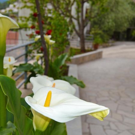 Tivat Apartments Exterior foto