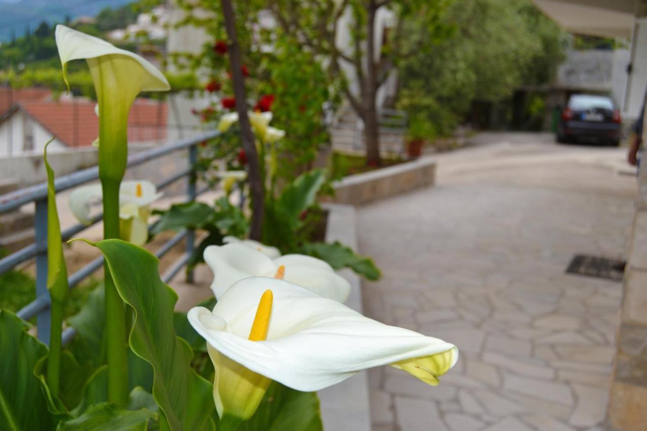 Tivat Apartments Exterior foto